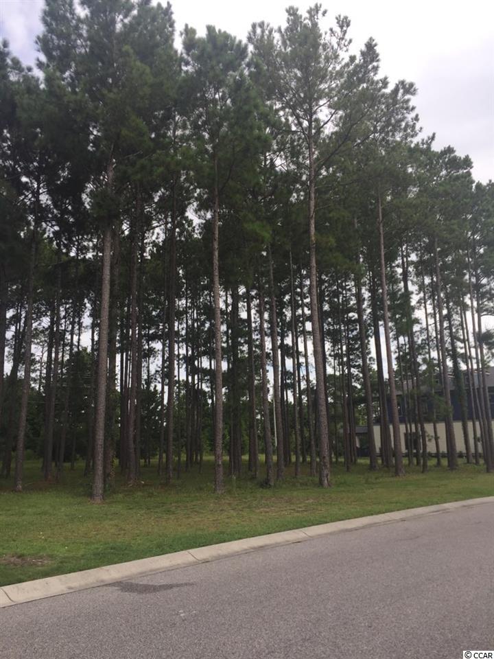 1327 Fiddlehead Way Myrtle Beach, SC 29579