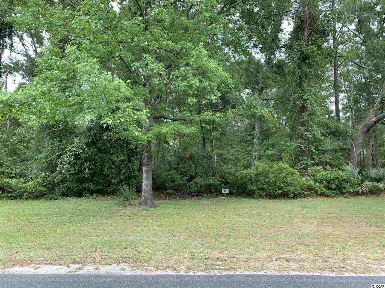 Lot 31 Wallace Pate Dr. Georgetown, SC 29440