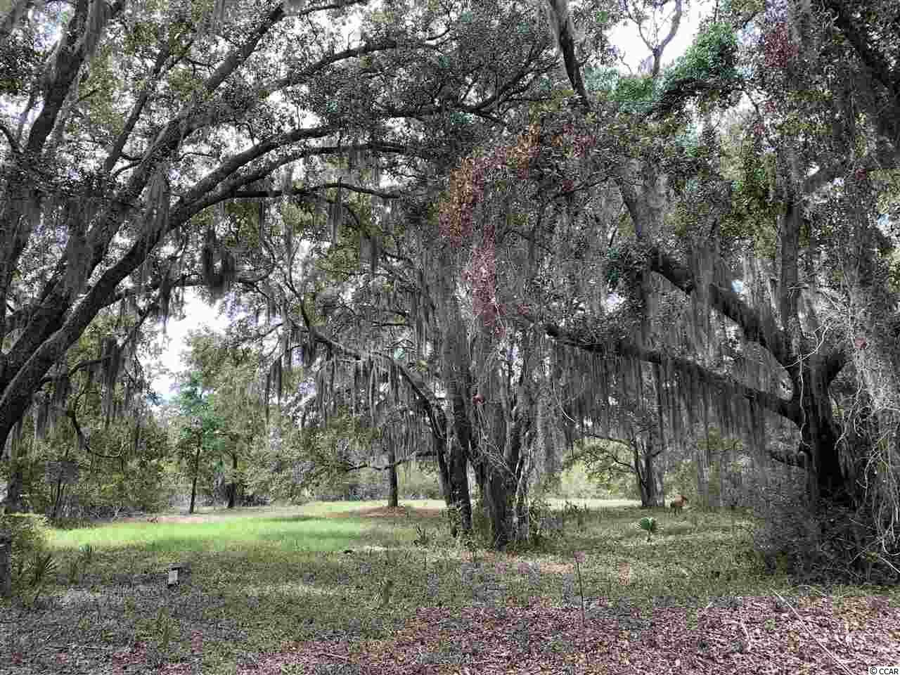 Lot 20 Sea Island Dr. Georgetown, SC 29440