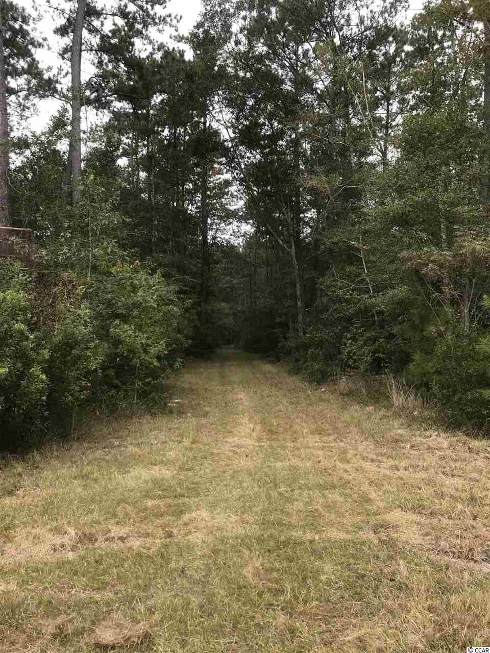 S Walker Rd. Georgetown, SC 29440