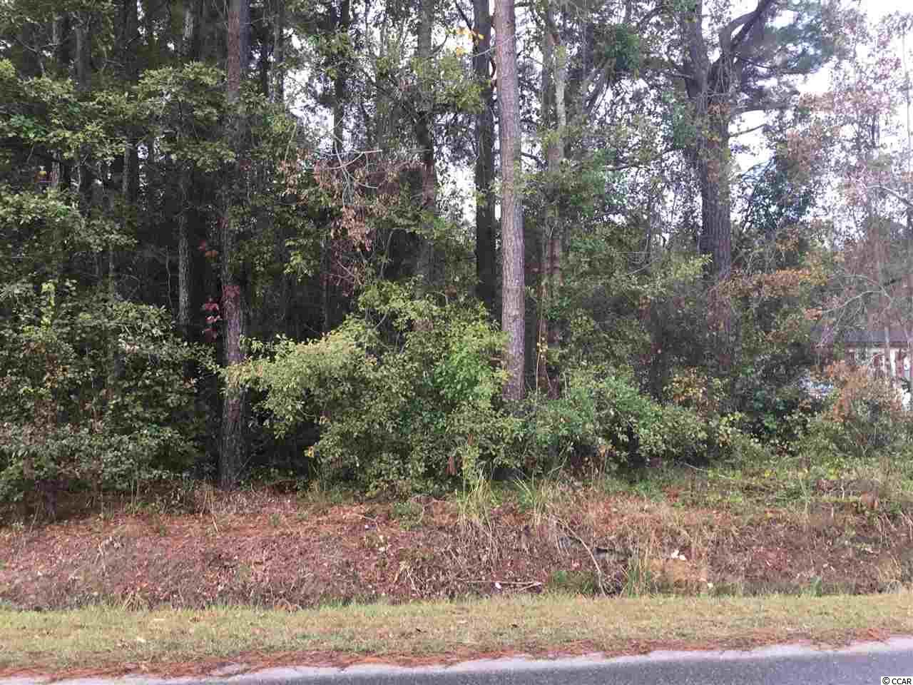 TBD Castler Heights Rd. Longs, SC 29568