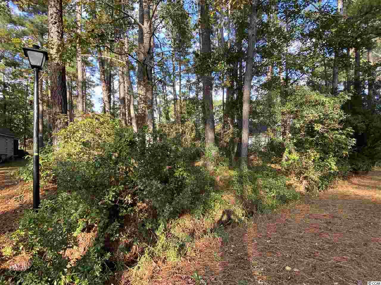 57 John Waites Ct. Georgetown, SC 29440