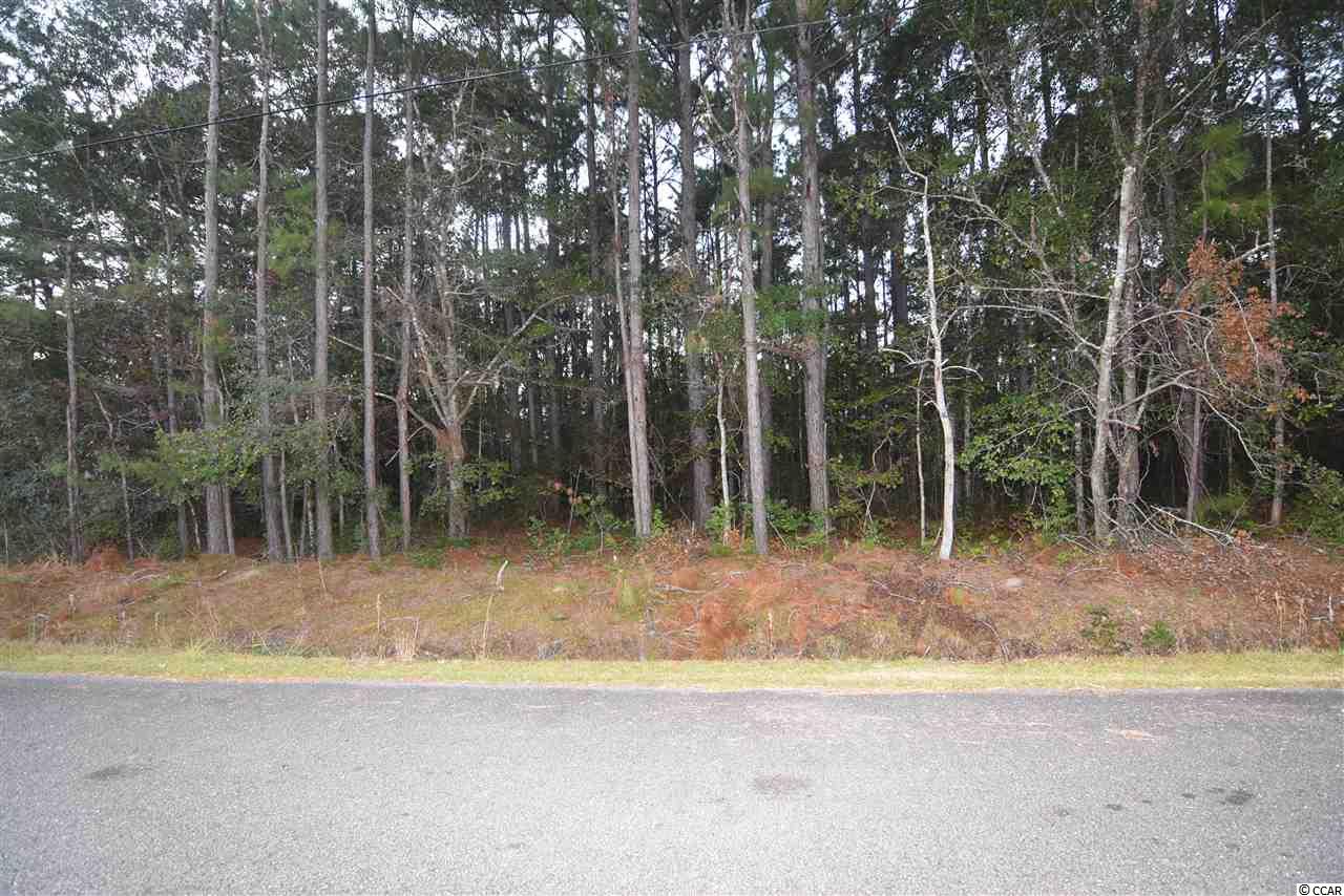 580 Buck Dr. Georgetown, SC 29440