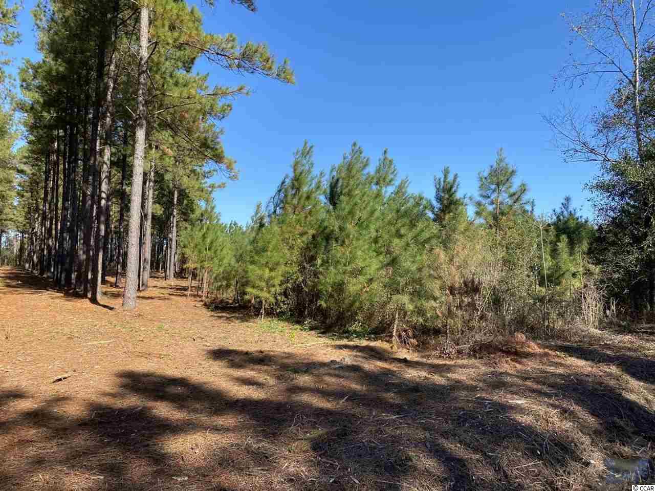 TBD Highway 366 Conway, SC 29526