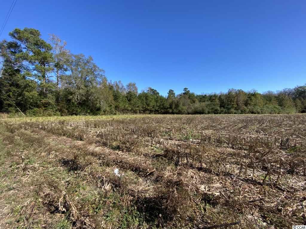 TBD Cherry Hill Rd. Loris, SC 29569