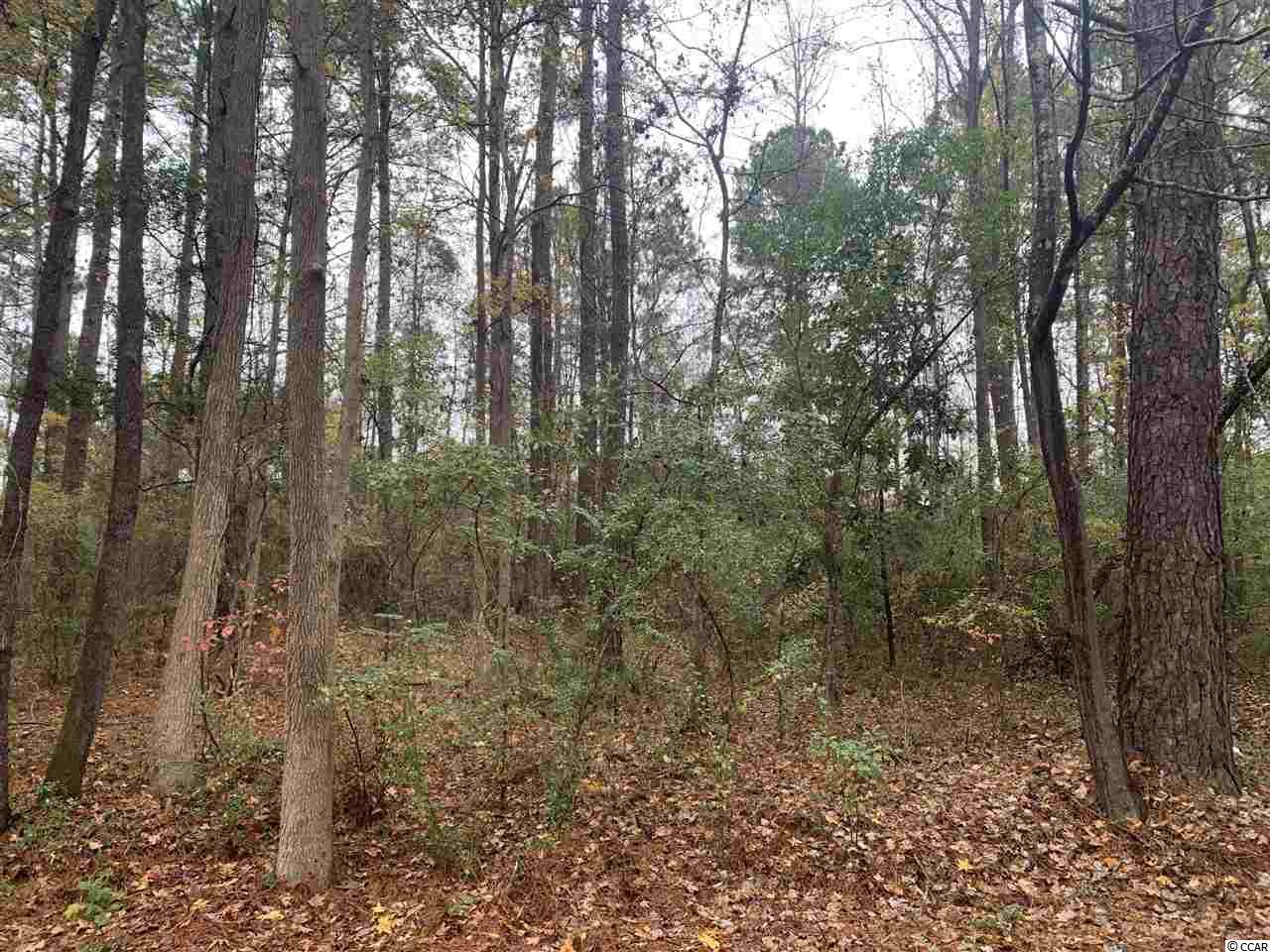 Lot 6 and Cherry Hill Loop Andrews, SC 29510