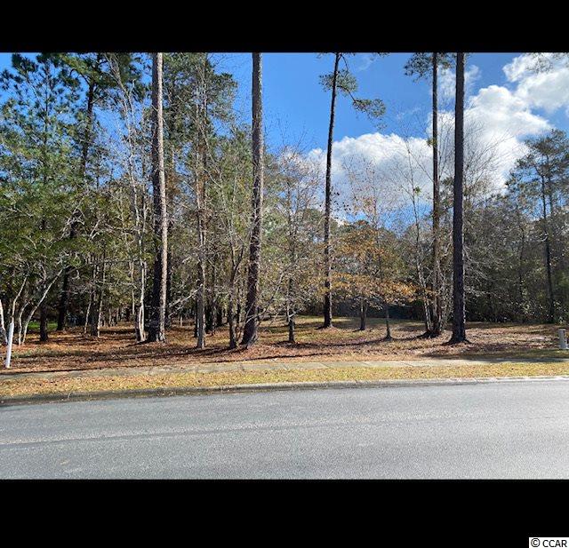 224 Chamberlin Rd. Myrtle Beach, SC 29588