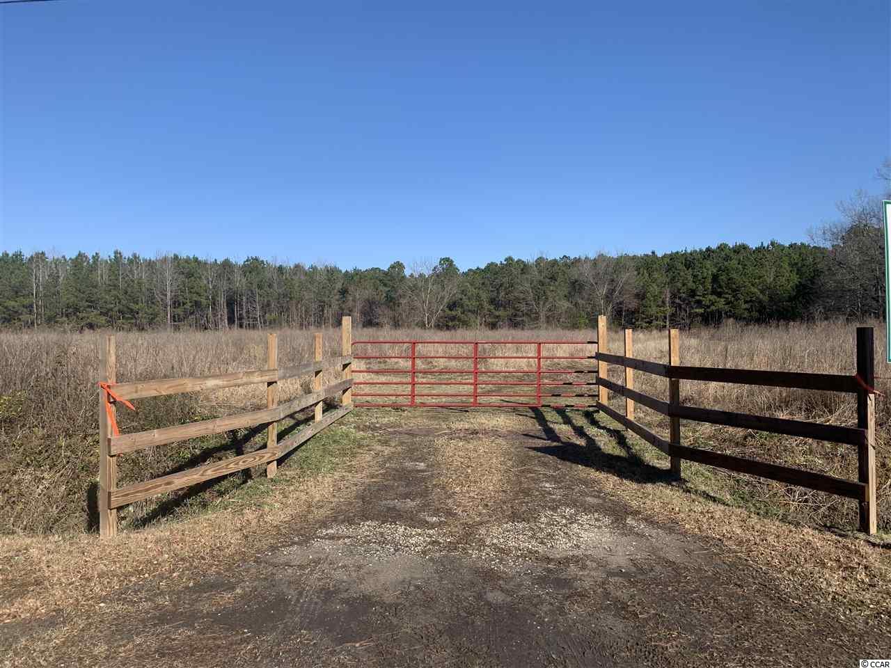 21 ac Guess Rd. Greeleyville, SC 29056