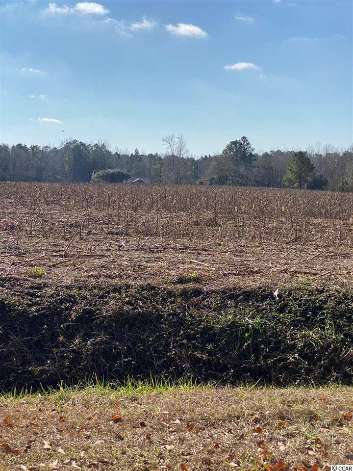 1720 Log Cabin Rd. Loris, SC 29569