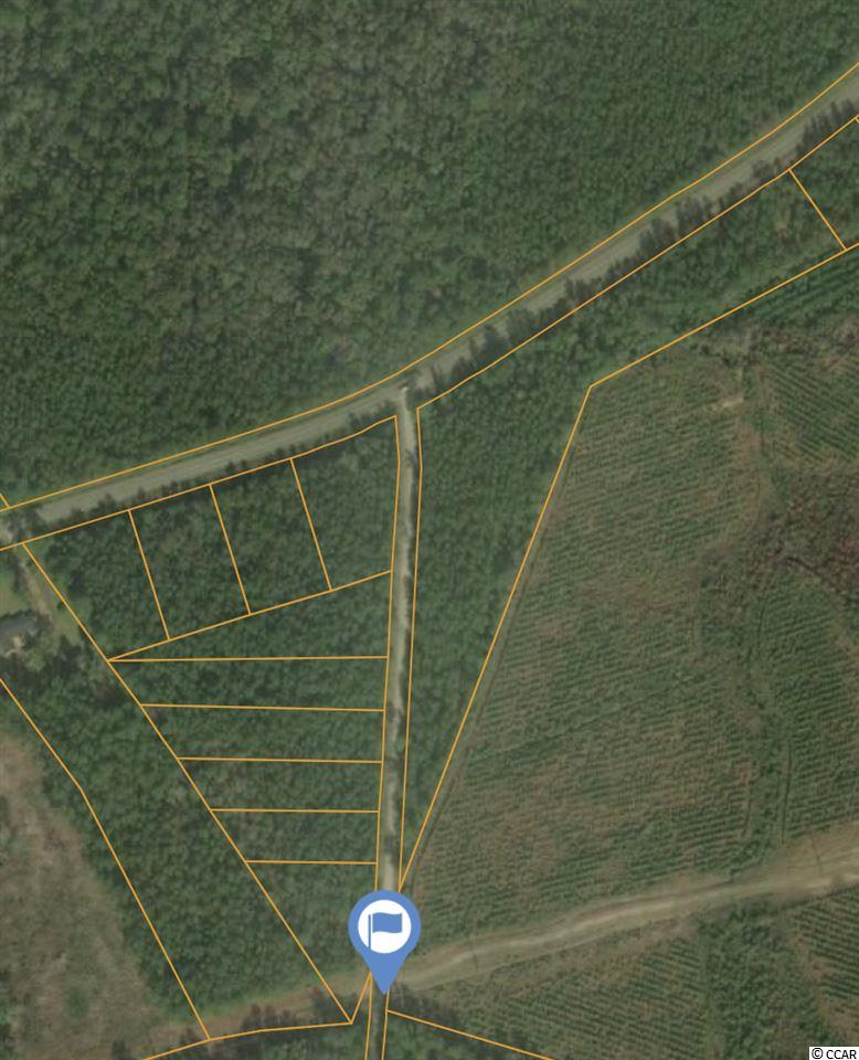 Lot 10B Dew Lane Conway, SC 29527