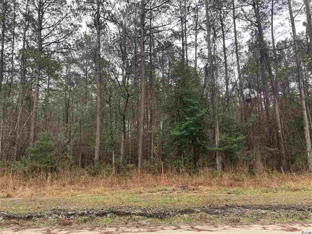 Lot 2 and W Cay Rd. Loris, SC 29569