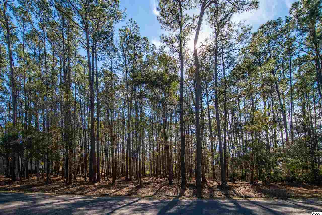 Wallace Pate Dr. Georgetown, SC 29440