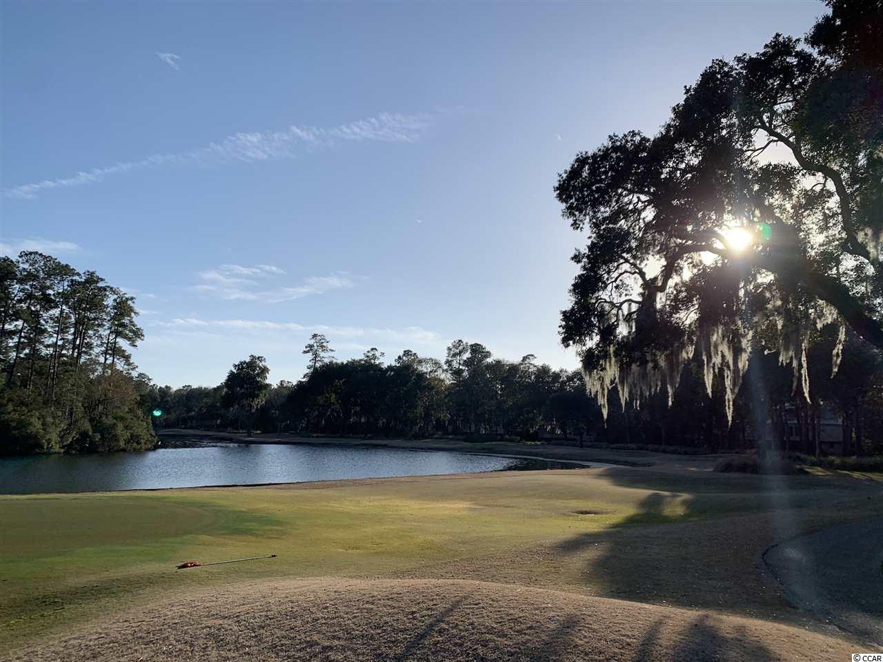 Lot 59 Wallace Pate Dr. Georgetown, SC 29440