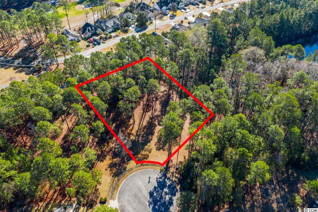 1001 Wigeon Dr. Conway, SC 29526