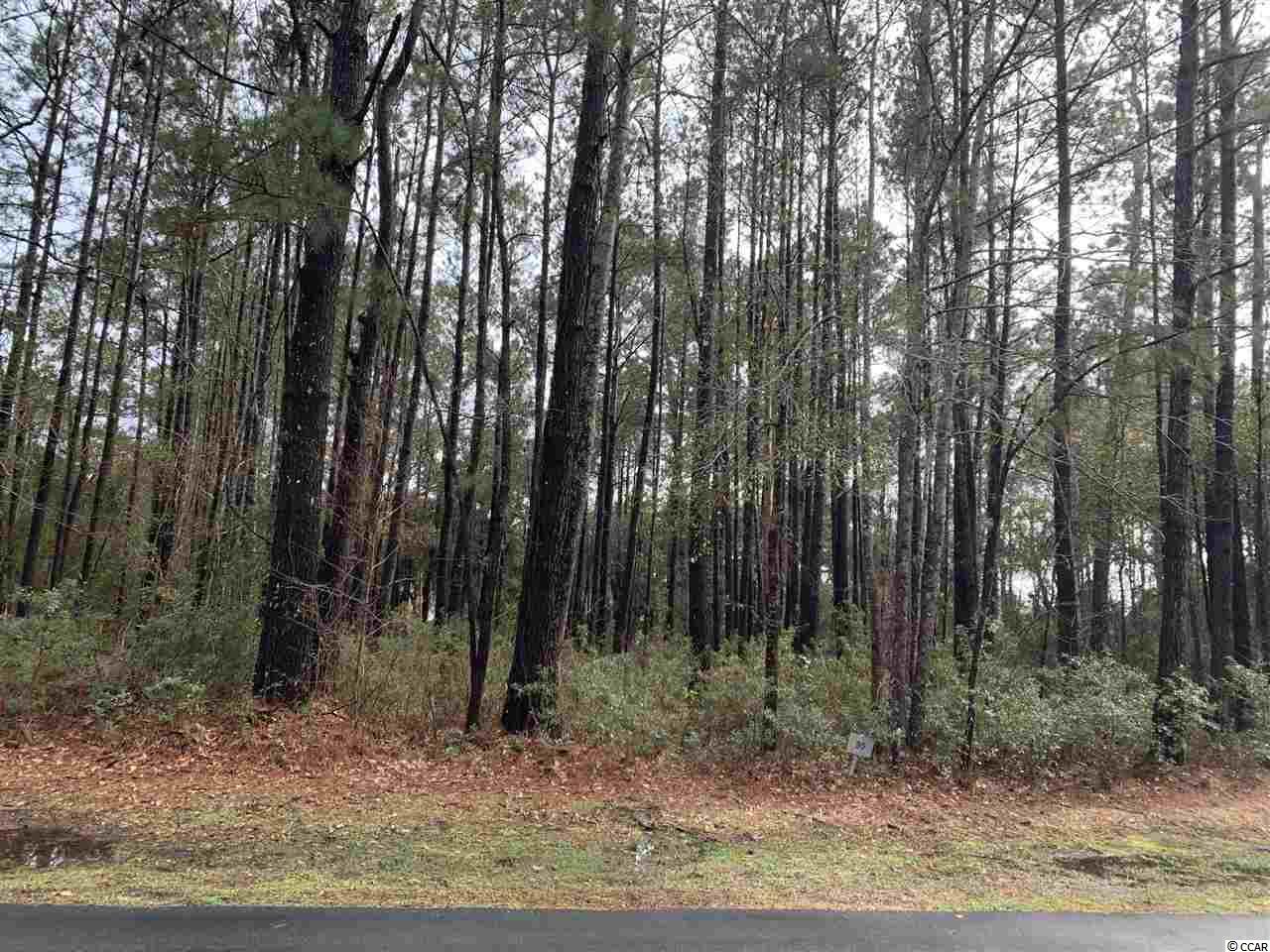 Lot 95 Brandon Way Georgetown, SC 29440