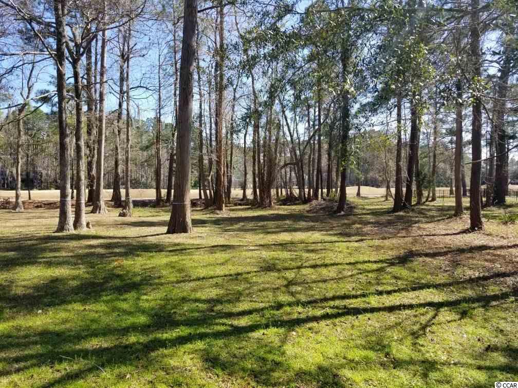 46 Hamilton Trail Pawleys Island, SC 29585