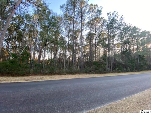 320 Wallace Pate Dr. Georgetown, SC 29440