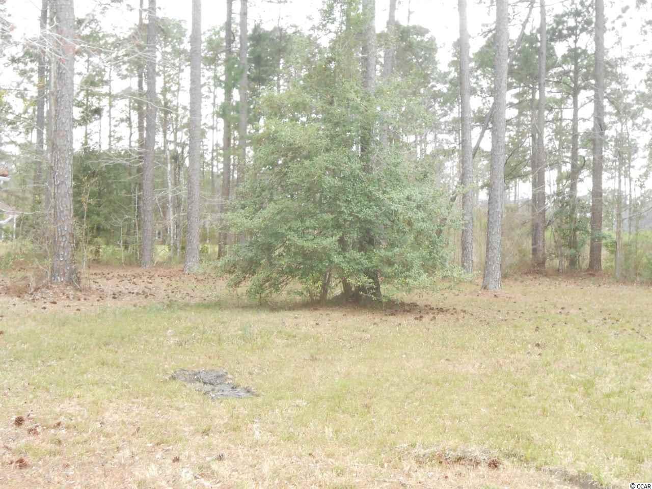2831 McLeod Ln. Myrtle Beach, SC 29588