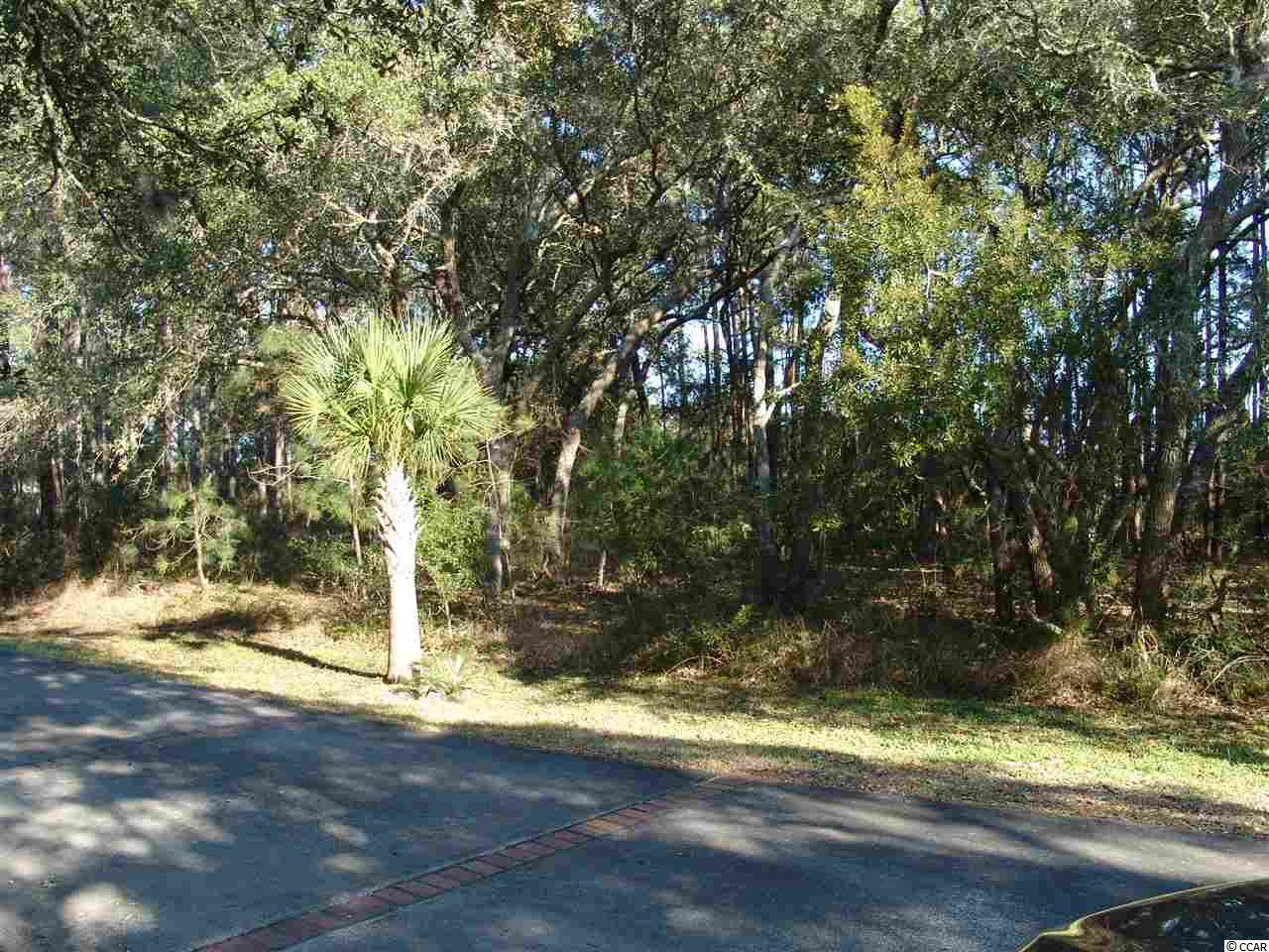 Lot 5 Royal Tern Ct. Georgetown, SC 29440