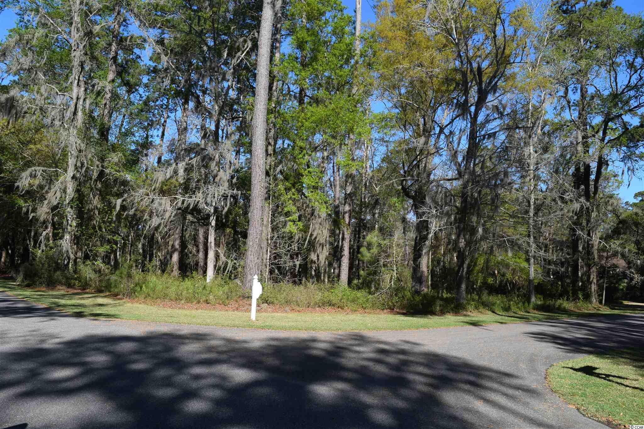 Lot 10 All Saints Loop Pawleys Island, SC 29585