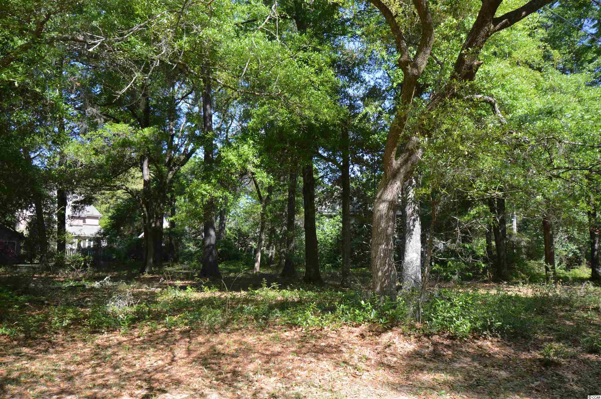 Lot 6 Emerson Loop Pawleys Island, SC 29585