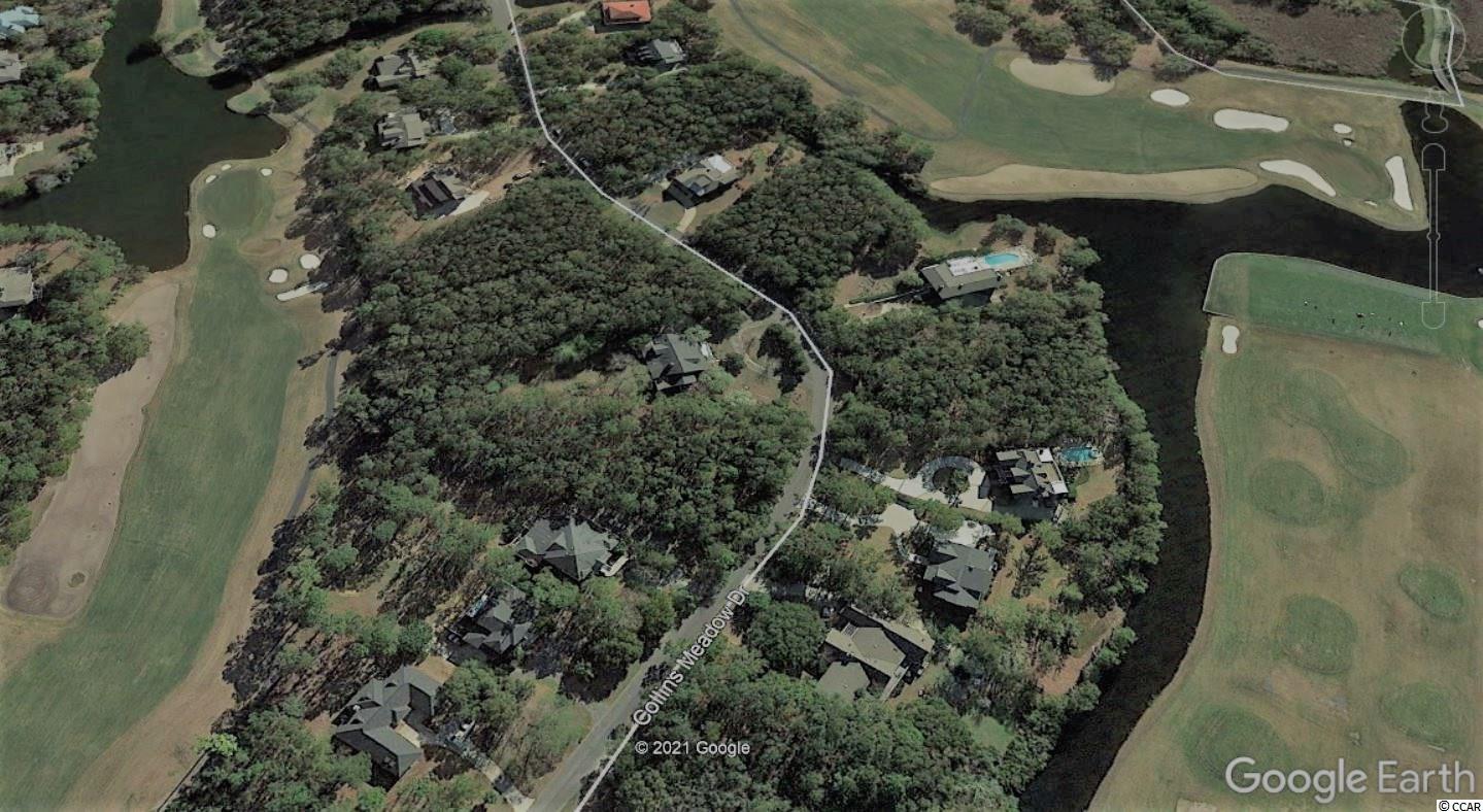LOT 1 Collins Meadow Dr. Georgetown, SC 29440
