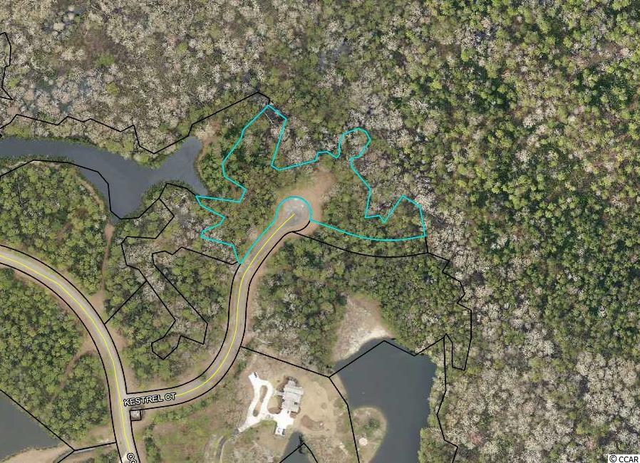 Lot 138 Canvasback Ln. Pawleys Island, SC 29585