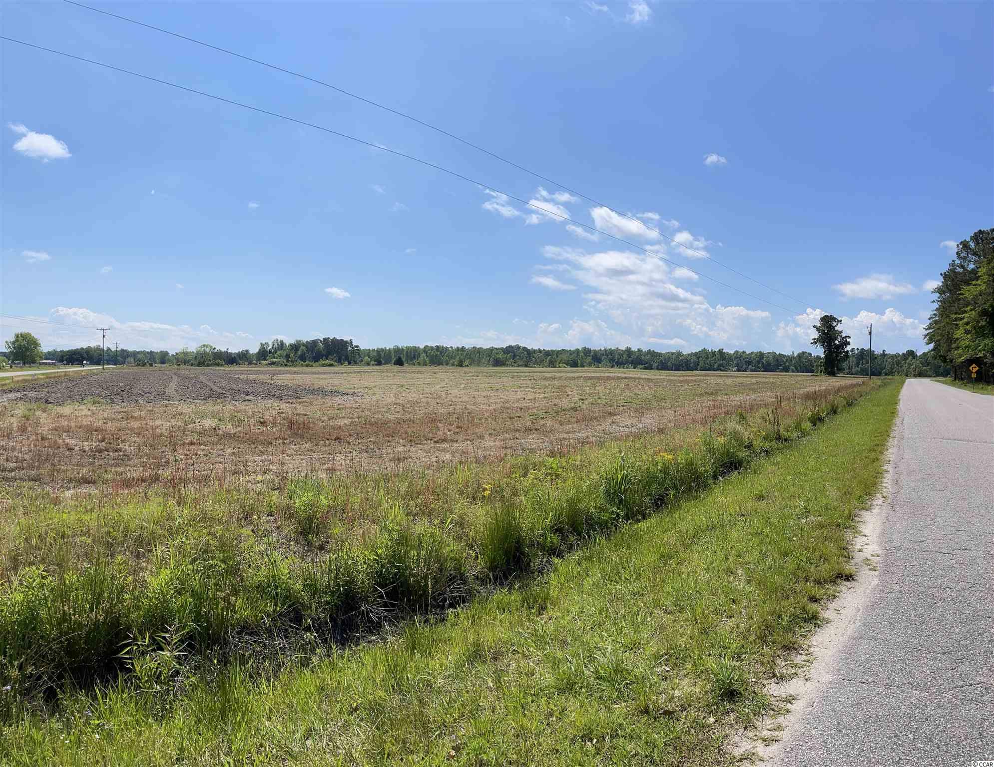 Lot 3 West Bear Grass Rd. Loris, SC 29569