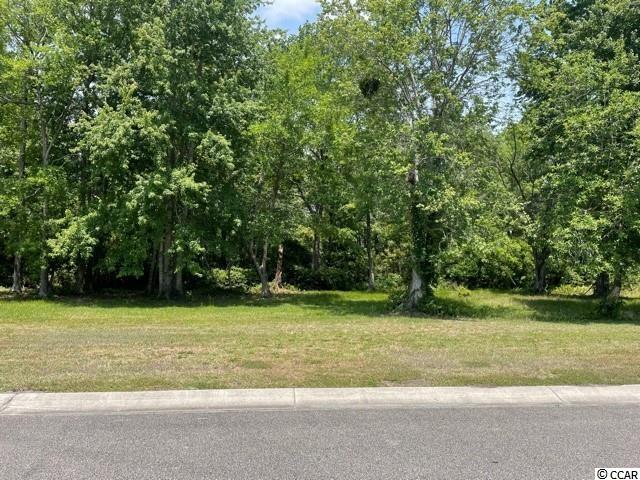 2218 Yellow Morel Way Myrtle Beach, SC 29579