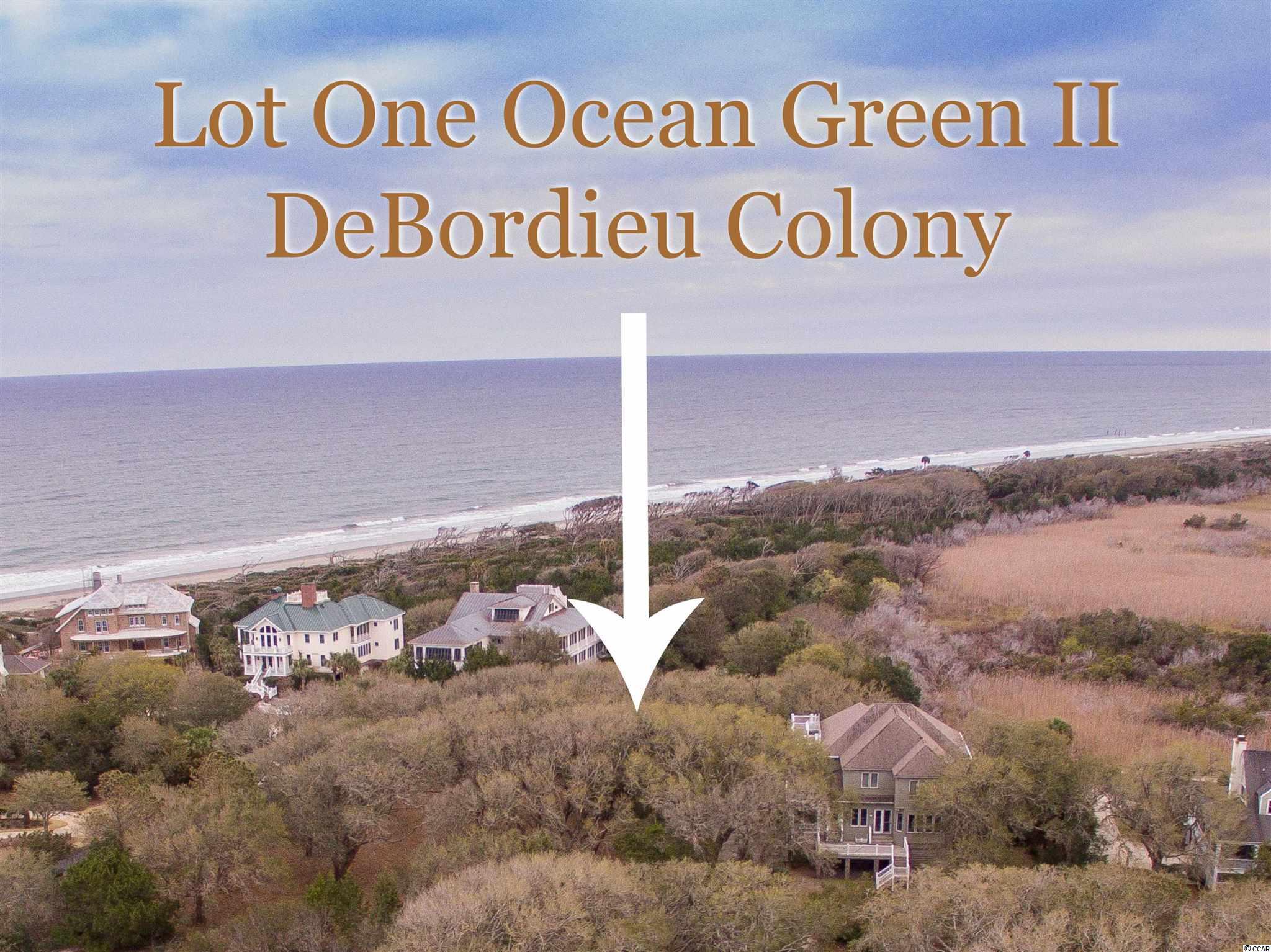 Lot 1 Ocean Green Dr. Georgetown, SC 29440