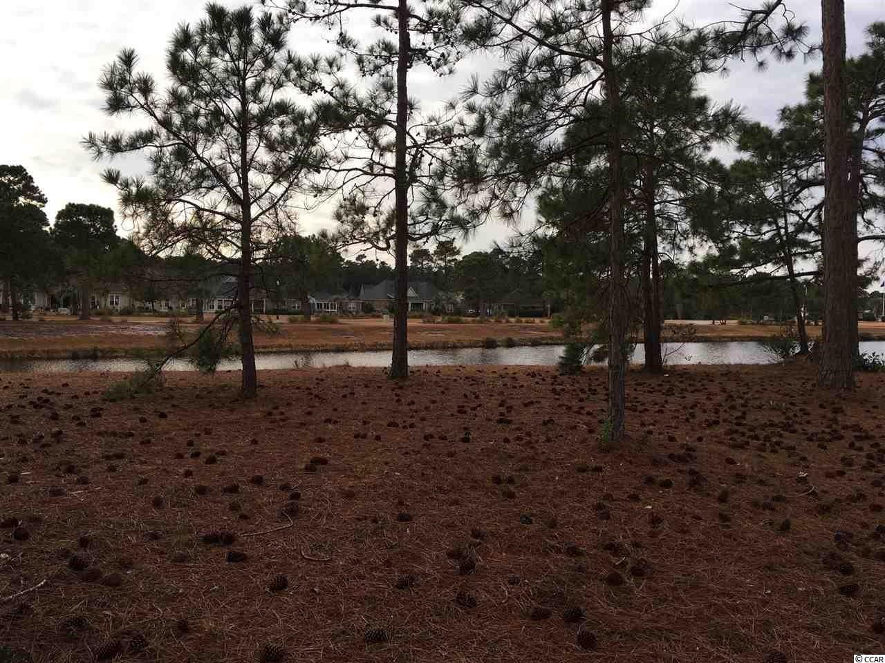 9212 Crutchfield Ct. Myrtle Beach, SC 29579