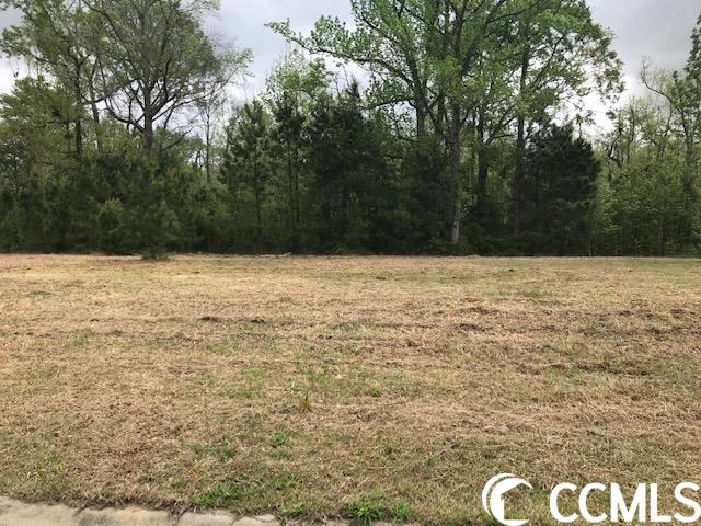 great lot to build your future dream home!  lot sits up high on a bluff overlooking a wetland area and the waccamaw river.  did not flood during past events.  neighboring lot has a private boardwalk and dock on the river (picture shown).  dock permit might be possible, but buyer would need to verify.  all lot measurements are approximate, buyer to verify.