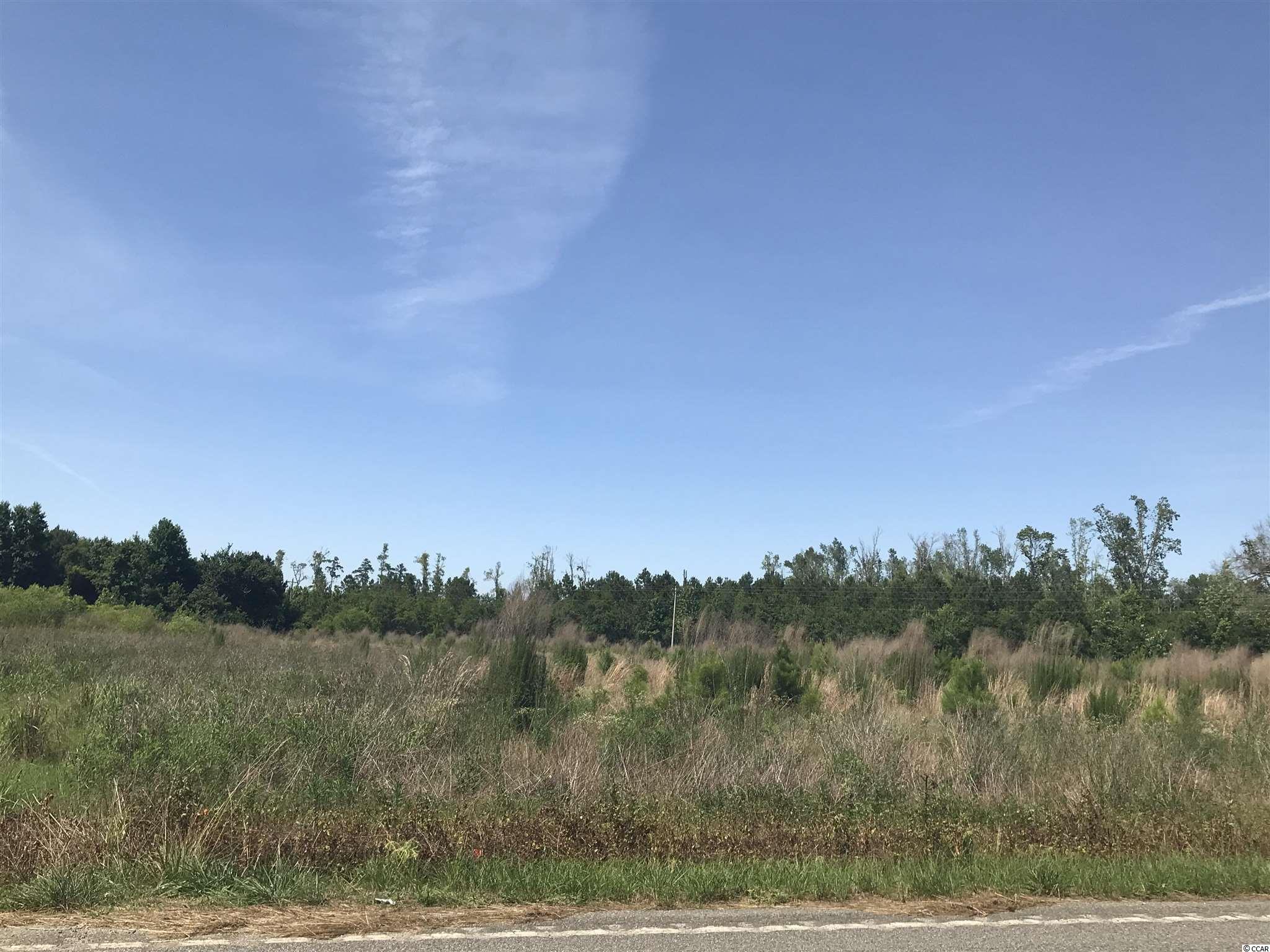 Joyner Swamp Rd. Galivants Ferry, SC 29544