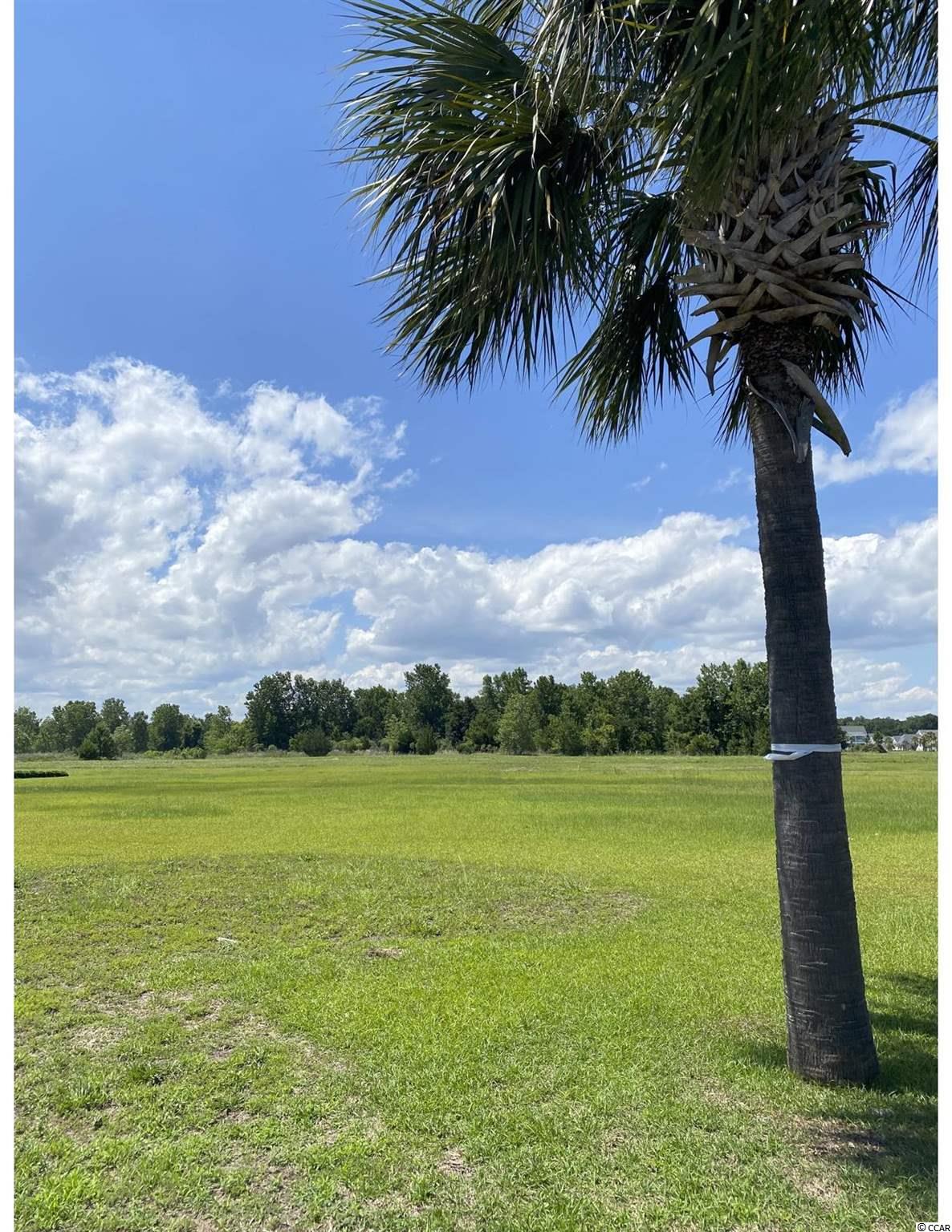 163 West Palms Dr. Myrtle Beach, SC 29579