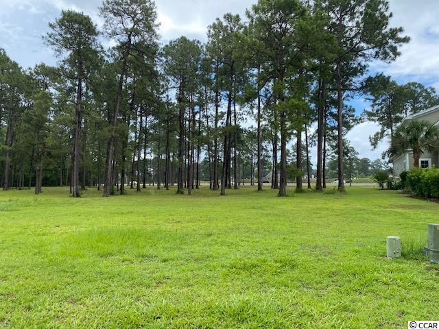 442 Seabury Ln. Myrtle Beach, SC 29579