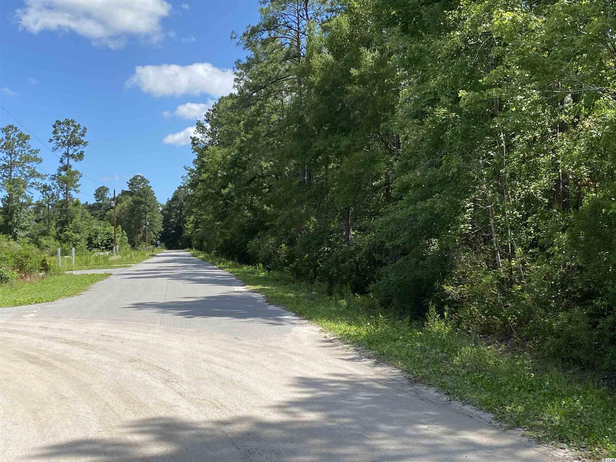 TBD Wilderness Rd. Conway, SC 29526