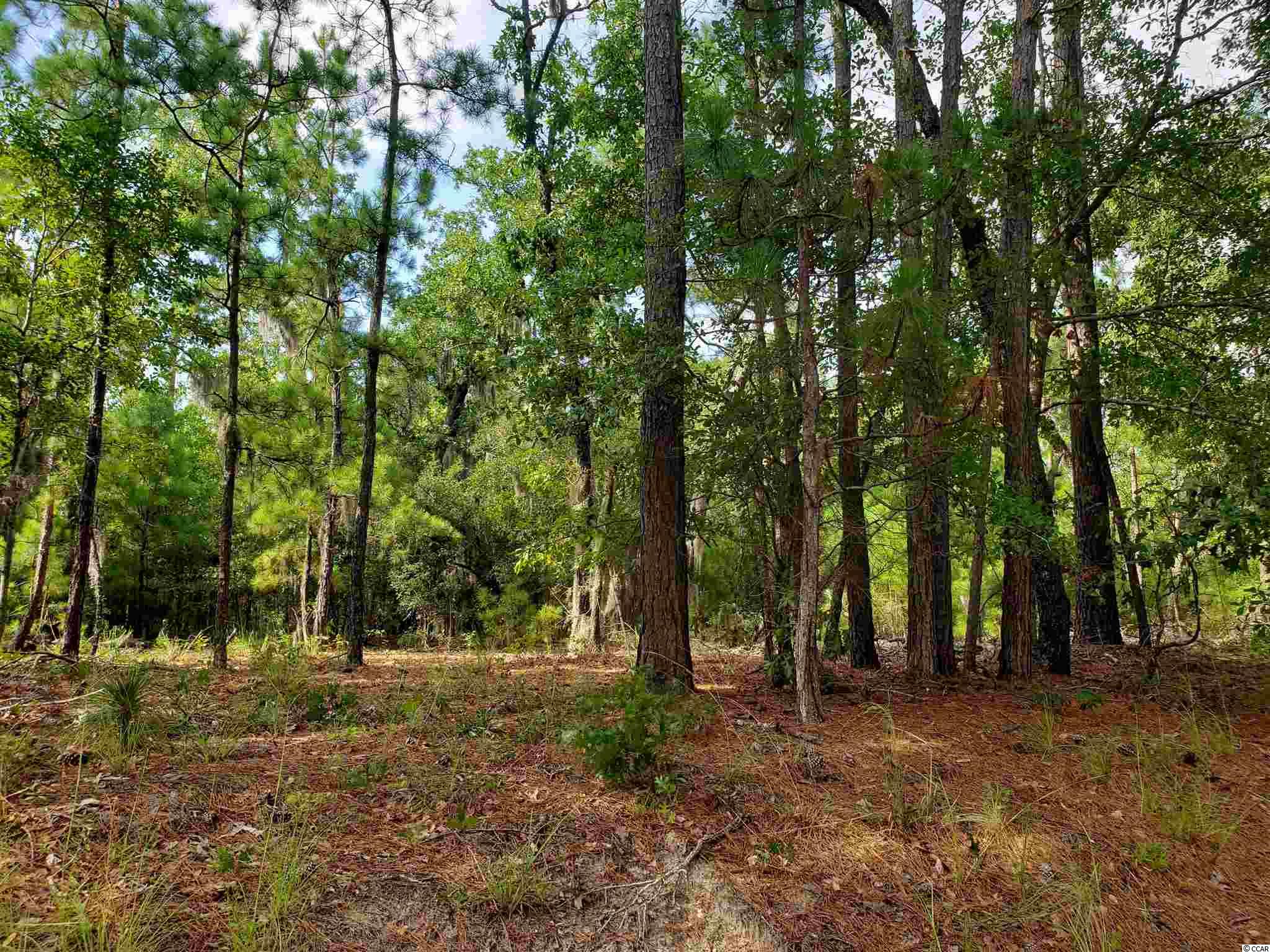 TBD Whispering Woods Rd. Conway, SC 29526