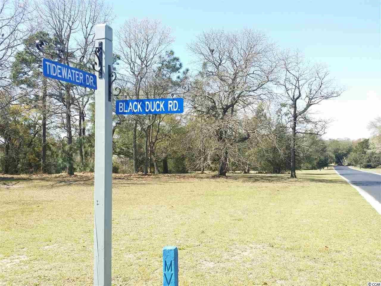 lot 51 Black Duck Rd. Pawleys Island, SC 29585