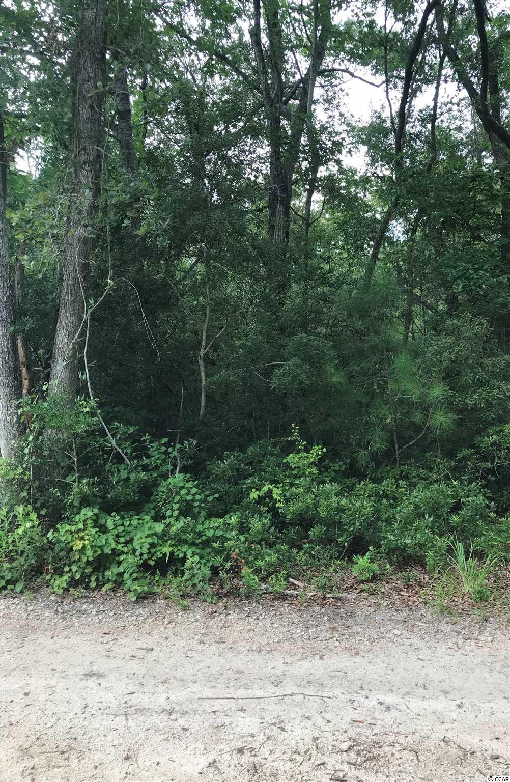 Lot 12 Old Tram Rd. Little River, SC 29566