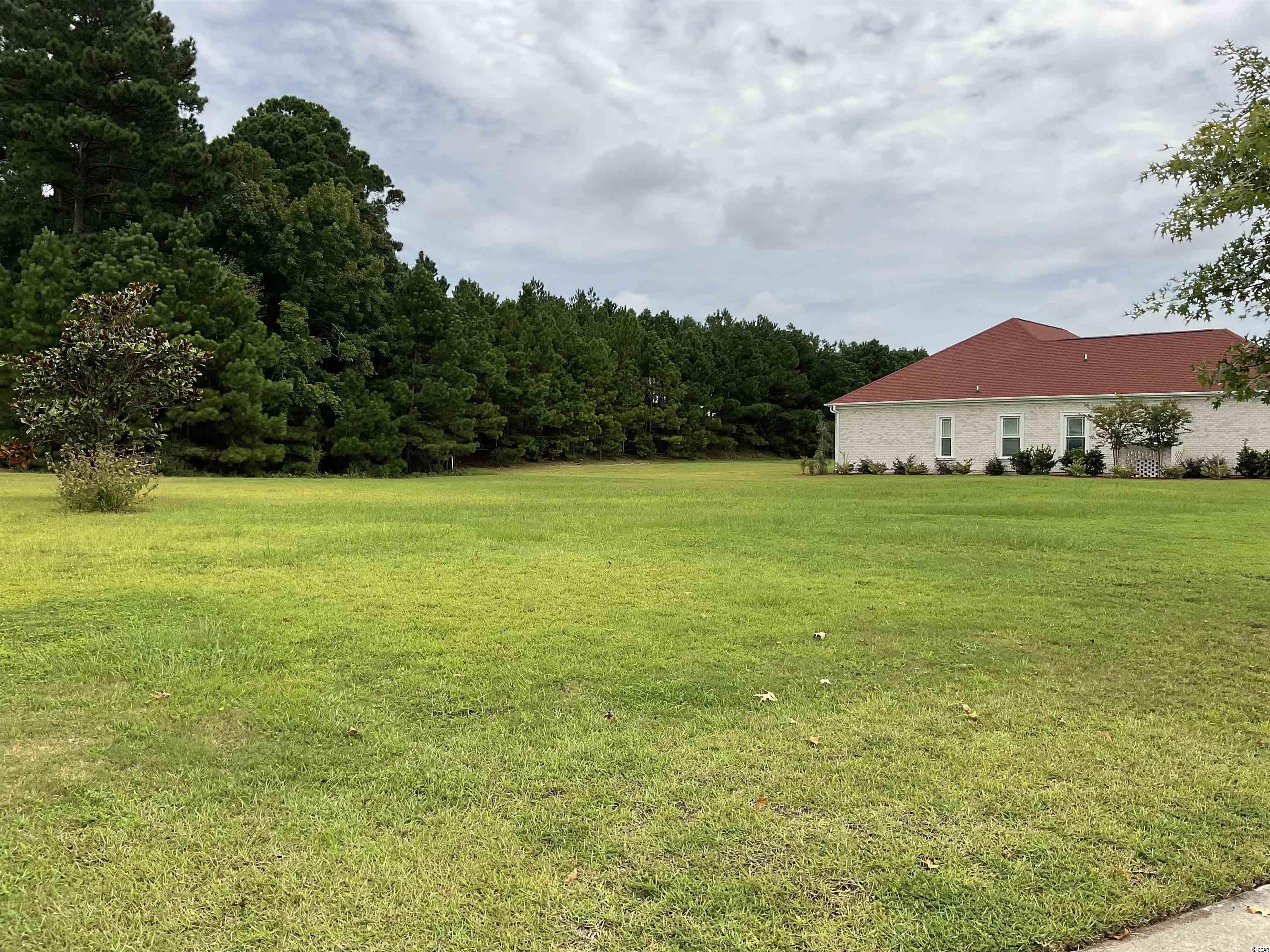2215 Wood Stork Dr. Conway, SC 29526