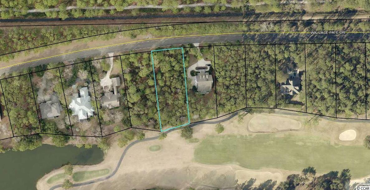 Wallace Pate Dr. Georgetown, SC 29440