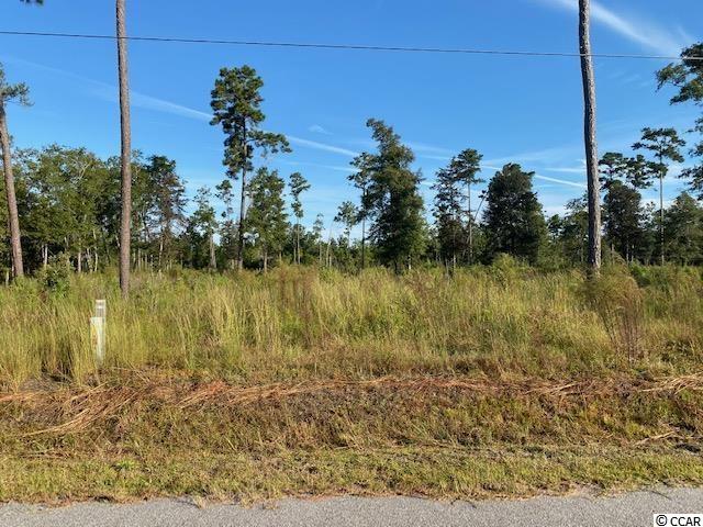 TBD Huckleberry Ln. Conway, SC 29526