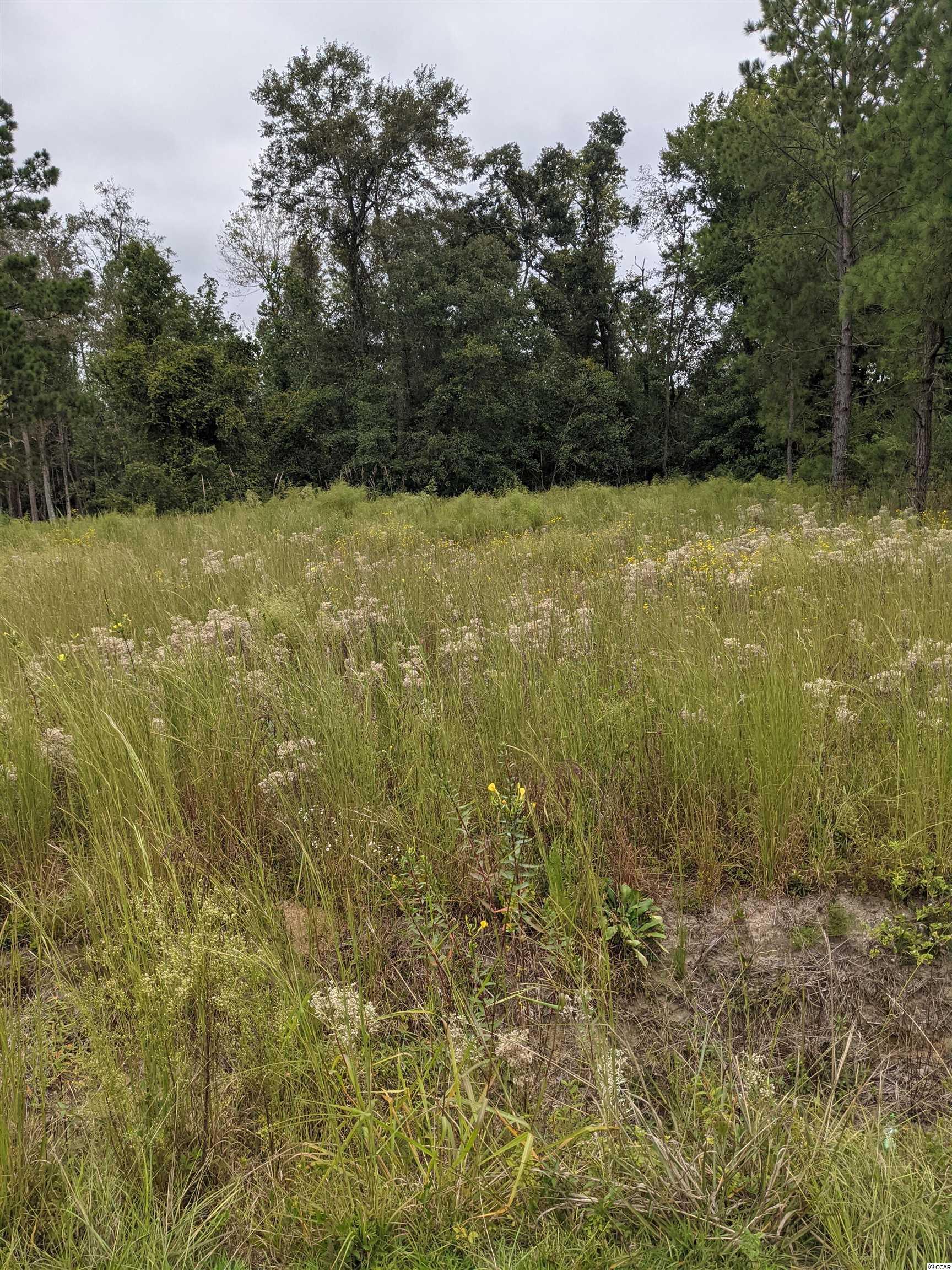 Lot 8-A Highway 915 Loris, SC 29569