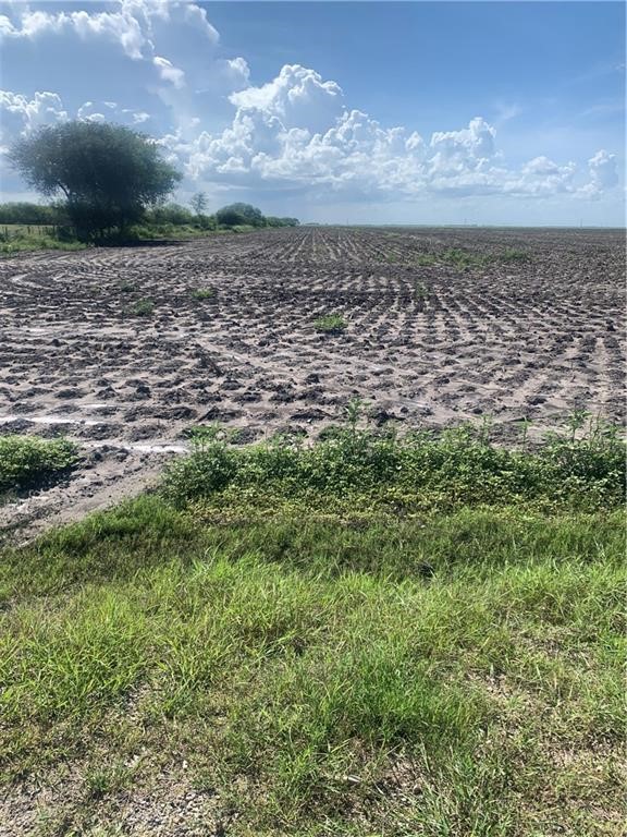 40 Acres of farmland off of County Road 87, west of Bishop. Directions: Head west on CR 70 until you get to CR 87. Turn right on 87, go past houses on the left. Property is on your left at fence line to the 1st telephone pole.