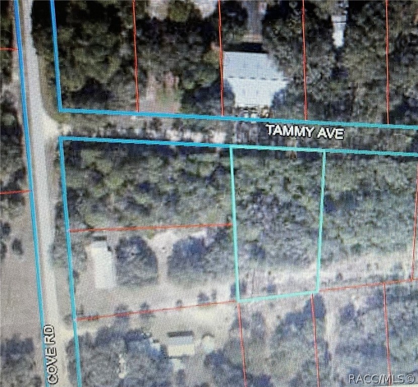 Build your dream home on this one acre lot! City water and septic.  Close to Dunnellon and Crystal River.  Easy access to hospital, shopping, dining, drs., If you love fishing, kayaking, boating, just a short distance to the Withlacoochee River and Gulf of Mexico.  Easy access to the Greenways Trails and the Withlacoochee Preserve.