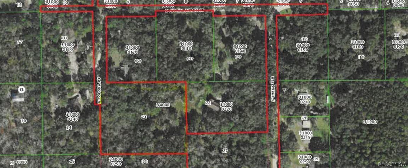 Details for Tbd Coloxa Point, Floral City, FL 34436