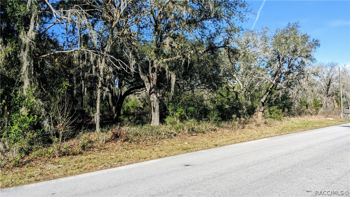 **CITRUS HILLS** Fantastic 1-acre lot with well on-site and beautiful great oaks. Homes-only area, paved roads, and access to everything Citrus County has to offer with this central location.