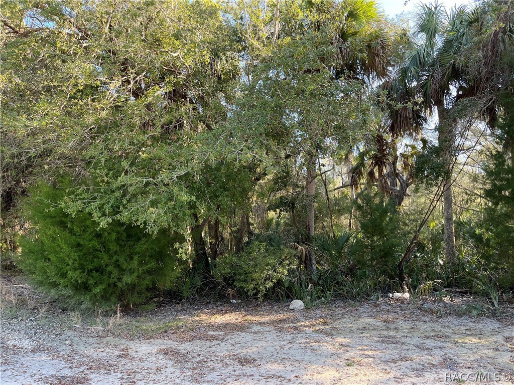 Here is a nice and level homesite in Inglis near the Withlacoochee River and the Cross Florida Barge Canal boat ramp.  You can build your home here or place a manufactured home on this property.  It's located about 2 miles from downtown Inglis for shopping, and a hospital is also nearby.  Downtown Crystal River is about 11 miles away.