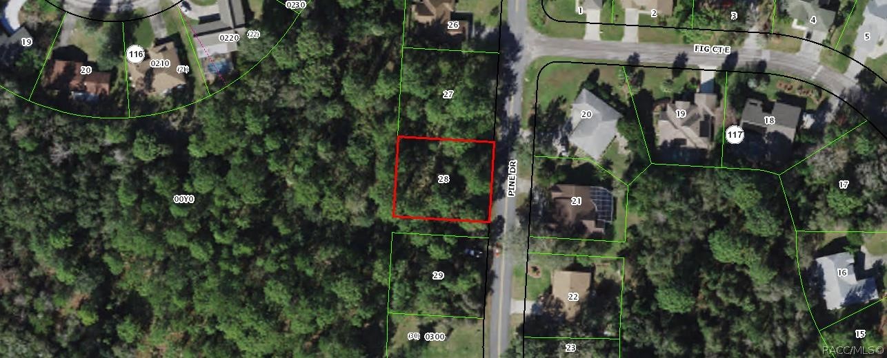 Lot on a quiet street with .28 acre and a deep wooded greenbelt. No neighbors on either side. Underground power lines on Pine Drive. Build your dream home here! Citrus County is known as The Nature Coast with seven rivers in our small county.

Membership is optional in the Sugarmill Woods Country Club that can include golf, or tennis, pickleball, two swimming pools, a small gym or a social membership for dining in the restaurant.  Convenient to the Suncoast Parkway taking you to the Tampa International Airport within an hour or so.