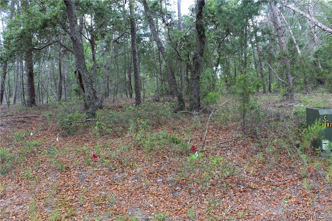 Lovely lot on a cul de sac , ready to build your dream home.
Surrounded by nice home situated in Sugarmill Woods Oak Village south, you will enjoy the peace and quiet and yet near to excellent golf course, shops nearby and easy commute to Tampa Airport.